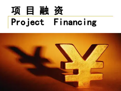 项目融资及案例分析(ppt 94页)