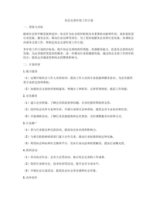 协会支部年度工作计划
