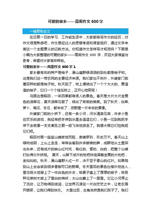 可爱的家乡——高密作文600字