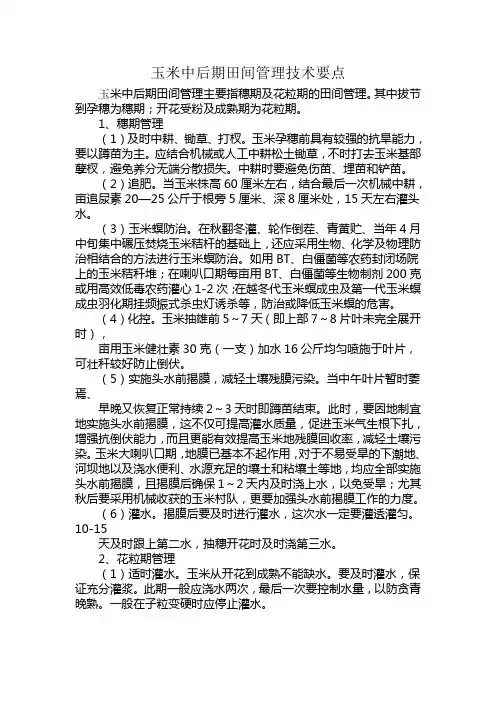 玉米中后期田间管理技术要点