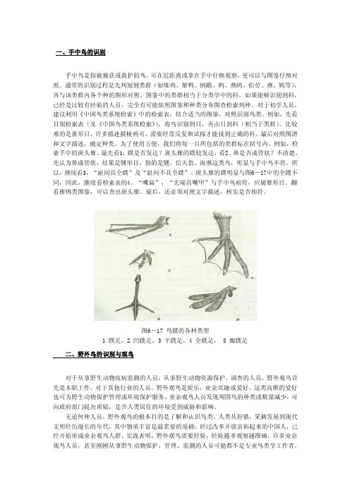 鸟类识别——精选推荐