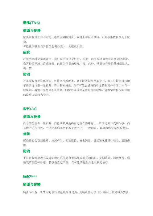 关于猫咪壁虱、虱子、跳蚤、疥癣的症状与防治