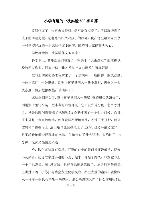 小学有趣的一次实验600字5篇