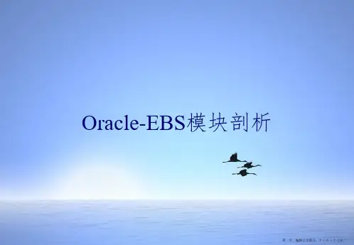 Oracle-EBS模块剖析