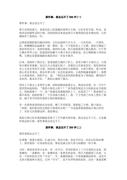 那件事,我总忘不了500字