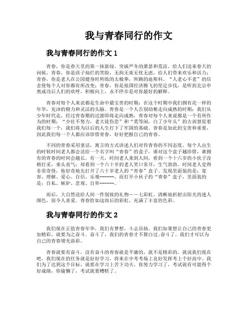 我与青春同行的作文