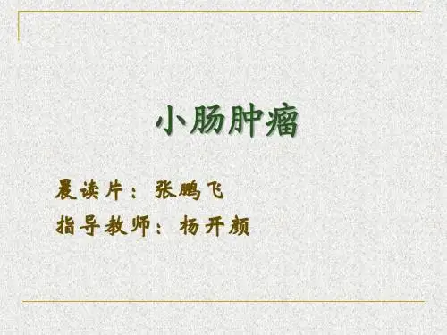 小肠肿瘤2