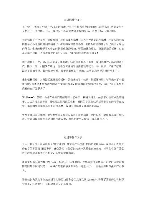 走进警营作文500字
