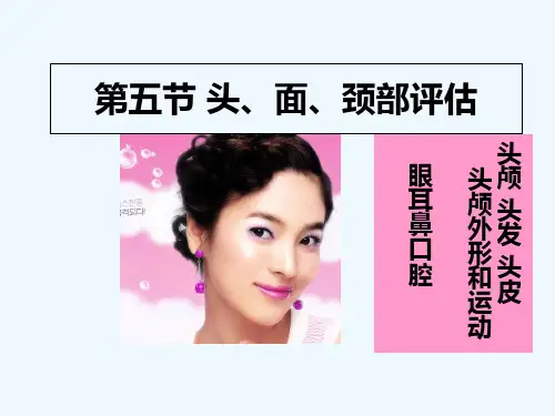 头面颈检查 PPT