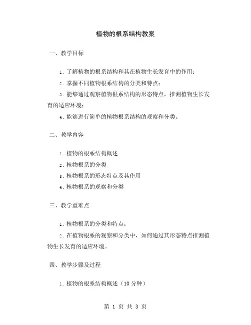植物的根系结构教案