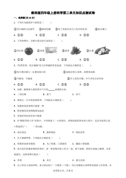 教科版四年级上册科学第二单元知识点测试卷