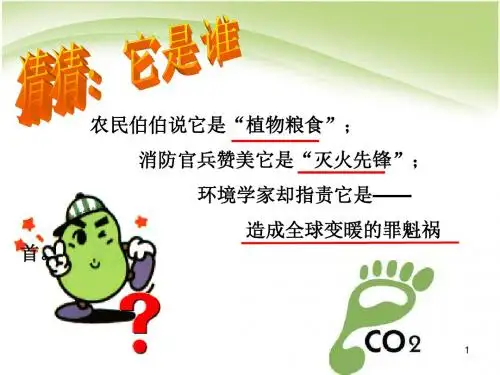 大自然中的二氧化碳