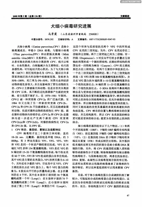 犬细小病毒研究进展