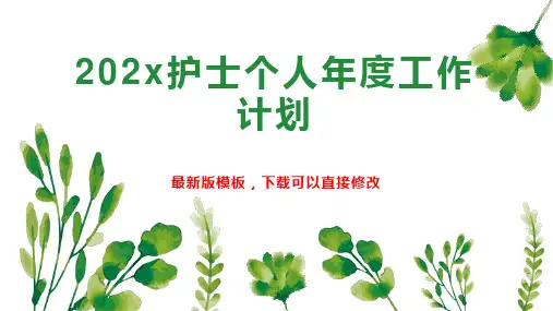 202x护士个人年度工作计划4PPT模板下载