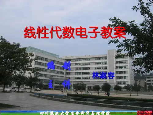 线性代数电子教案(全套)