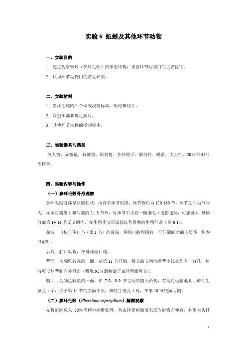 实验6蚯蚓及其他环节动物