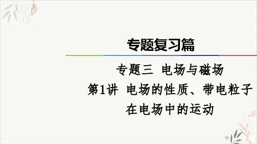 2021届高考物理二轮专题复习篇PPT教学课件：电场的性质、带电粒子在电场中的运动
