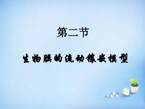 人教版高中生物必修一第4章第2节生物膜的流动镶嵌模型  课件(共31张PPT)