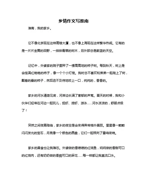 乡情作文写淮南