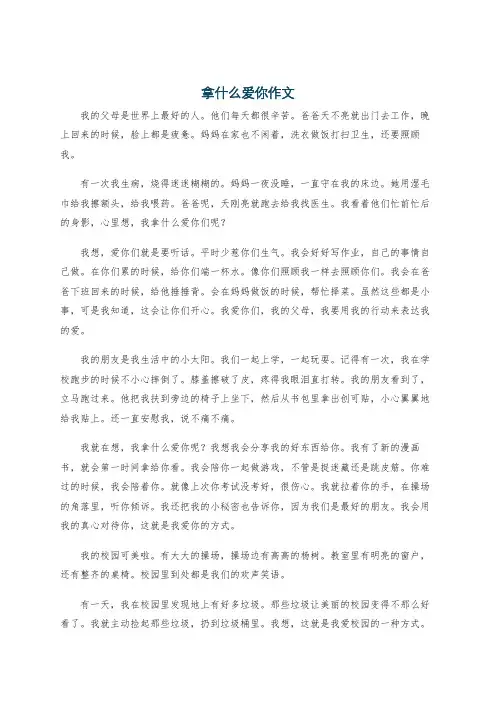 拿什么爱你作文
