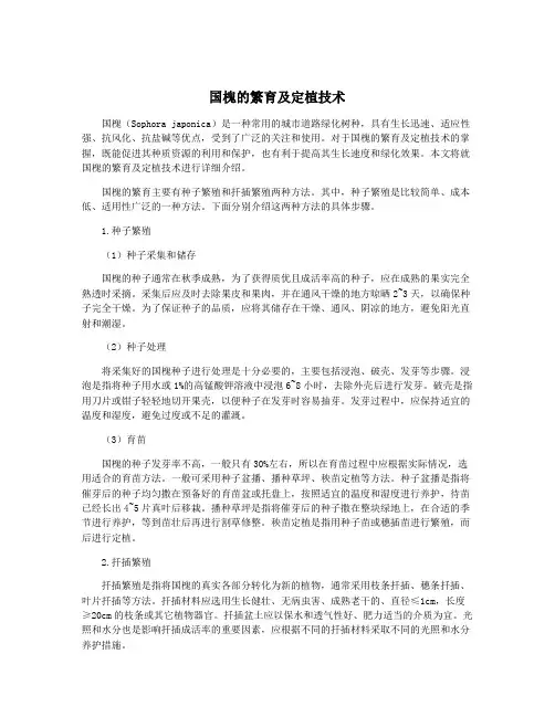 国槐的繁育及定植技术