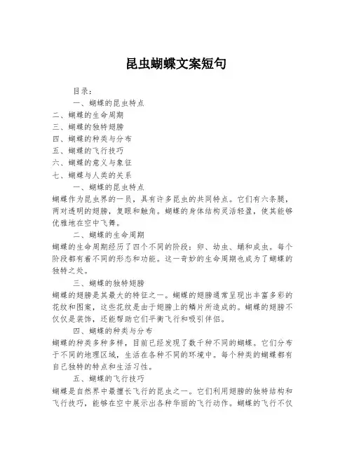 昆虫蝴蝶文案短句