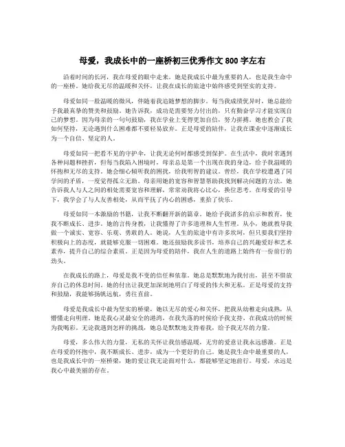 母爱,我成长中的一座桥初三优秀作文800字左右
