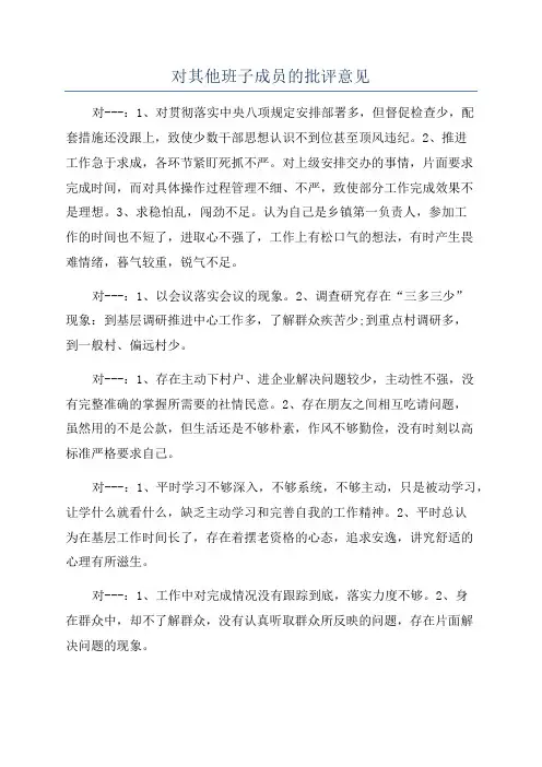 对其他班子成员的批评意见