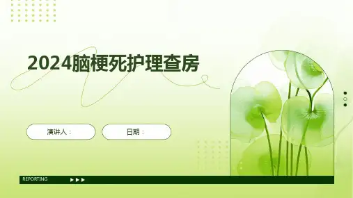 2024脑梗死护理查房