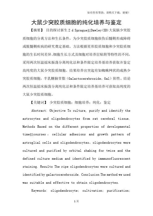 大鼠少突胶质细胞的纯化培养与鉴定