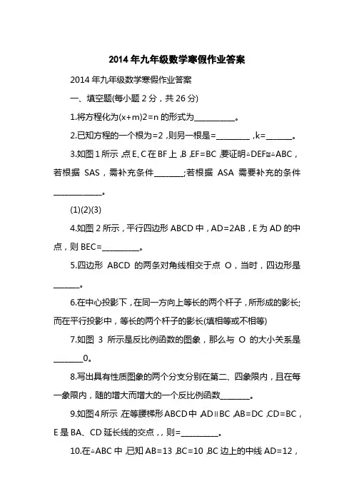 2014九级数学寒假作业答案