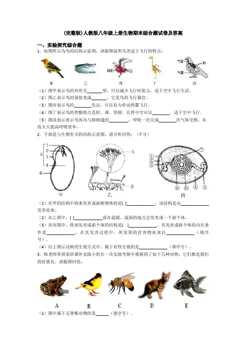 (完整版)人教版八年级上册生物期末综合题试卷及答案