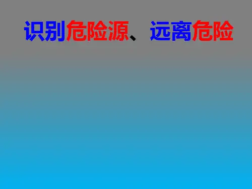 五年级体育课件-识别危险源远离危险 全国通用(共33张PPT)
