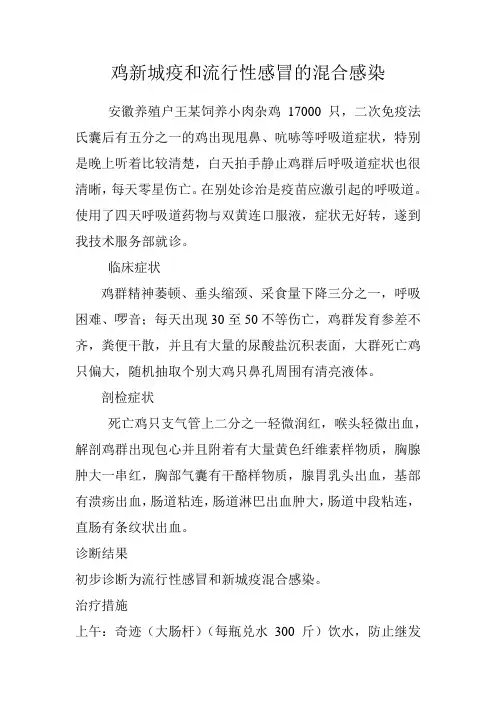 鸡新城疫和流行性感冒的混合感染