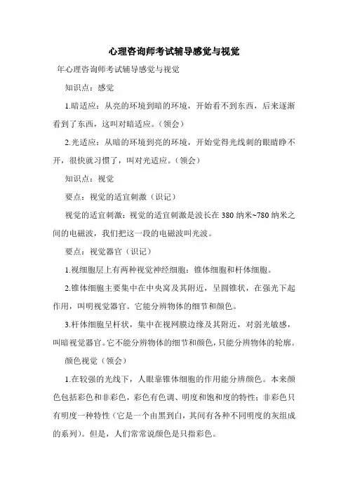 最新心理咨询师考试辅导感觉与视觉