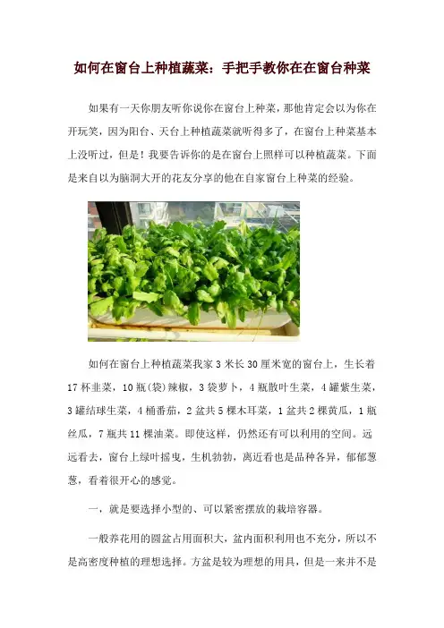 如何在窗台上种植蔬菜：手把手教你在在窗台种菜
