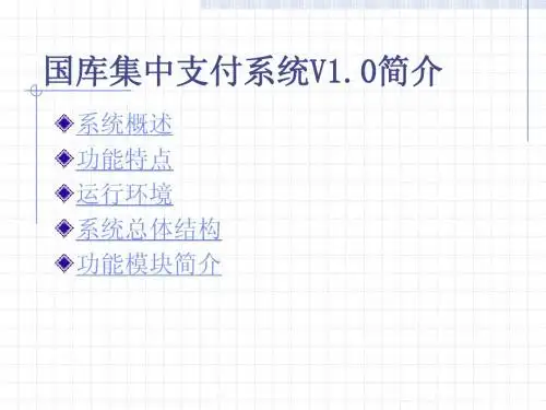 国库集中支付系统V10简介
