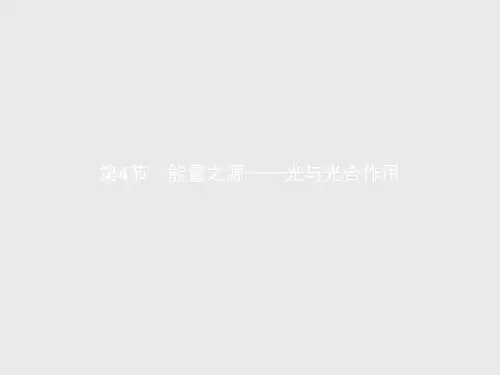 2019版生物人教版必修1课件：第5章 第4节 能量之源——光与光合作用 