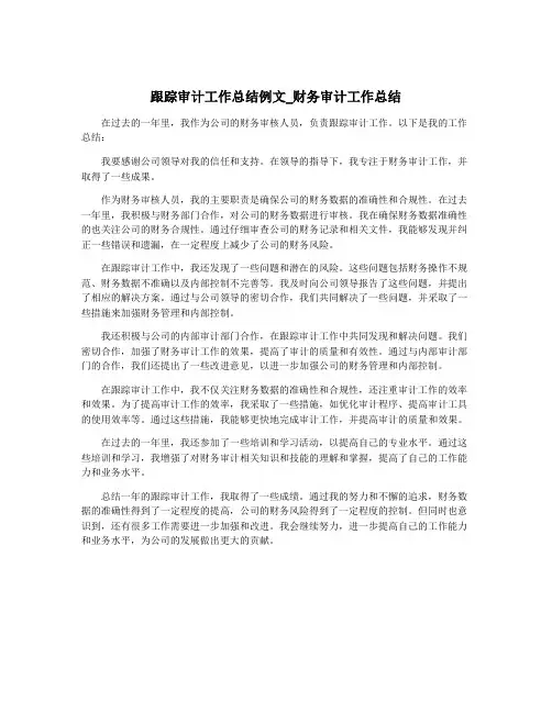 跟踪审计工作总结例文_财务审计工作总结