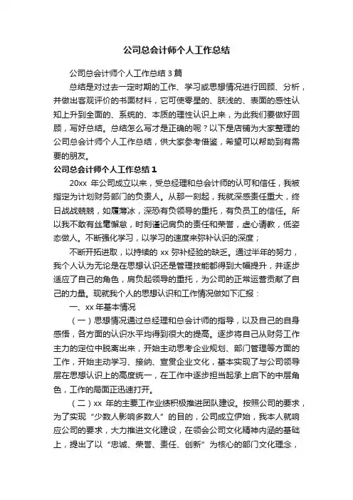 公司总会计师个人工作总结