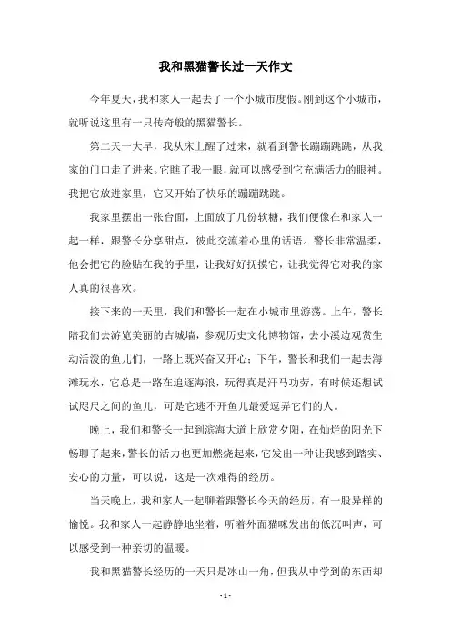 我和黑猫警长过一天作文