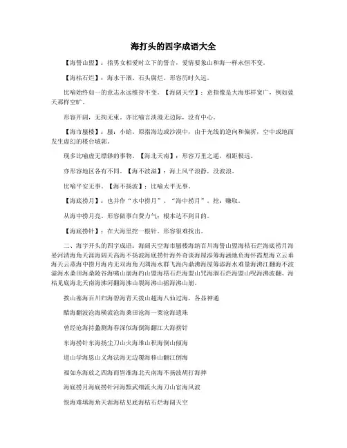 海打头的四字成语大全