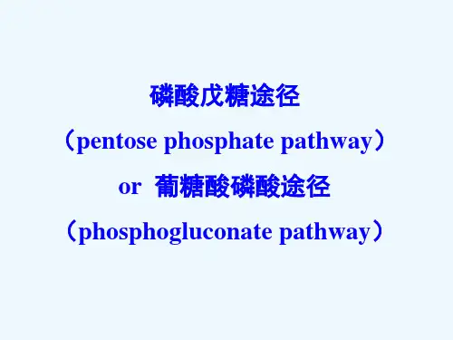 糖代谢的其它途径