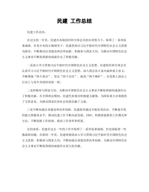 民建 工作总结