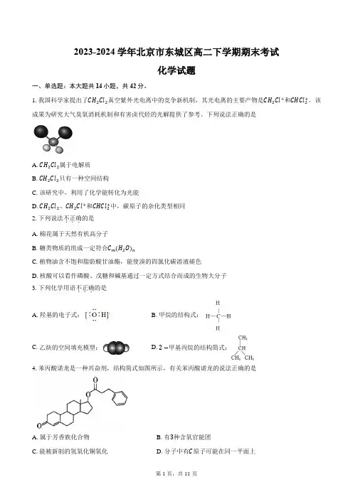 2023-2024学年北京市东城区高二下学期期末考试化学试题(含答案)