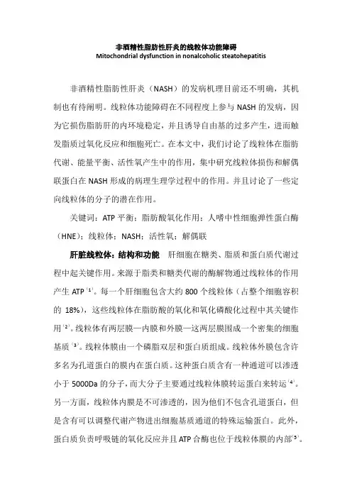 线粒体功能障碍