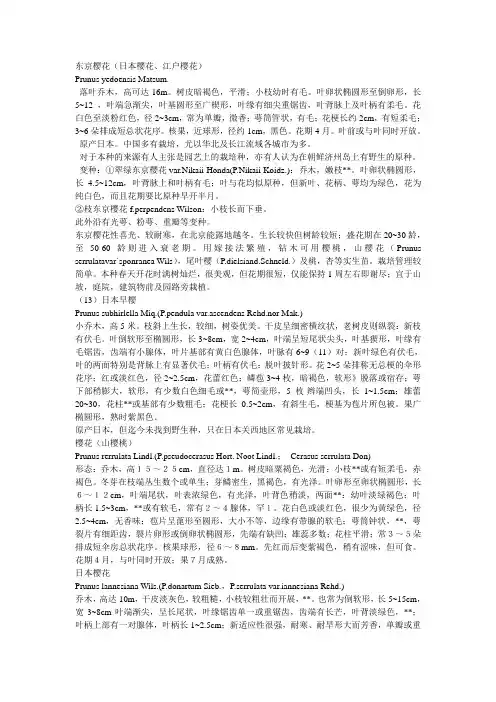 樱花识别