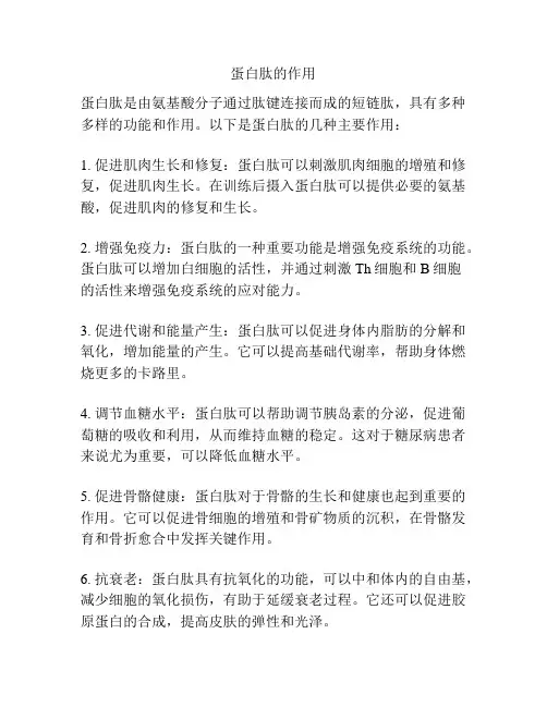 蛋白肽的作用