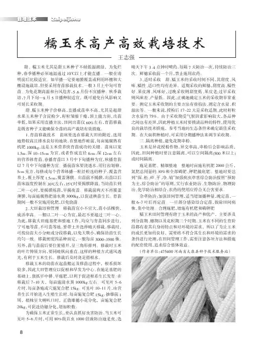 糯玉米高产高效栽培技术