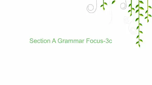 人教版英语七年级上册Unit 1 Section A Grammar Focus-3c